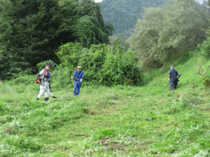 町内一斉クリーン活動