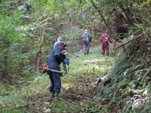 愛宕山散策路草刈り・枝払い