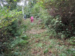 愛宕山散策路草刈り・枝払い