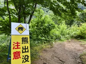 クマ出没注意