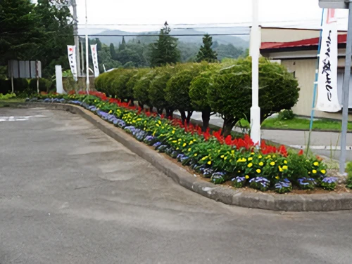 交流センター前の花壇