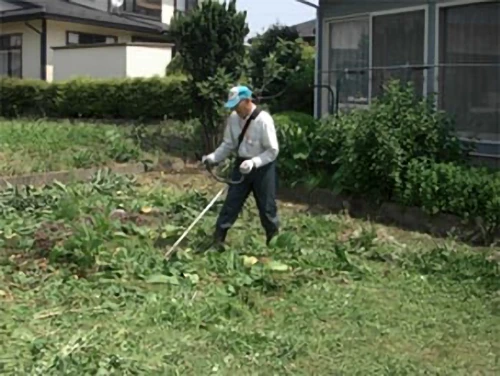 草刈りの様子