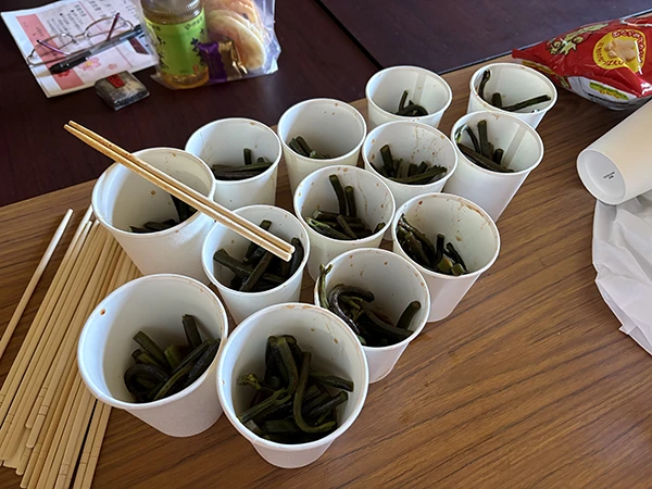 山菜の差し入れ