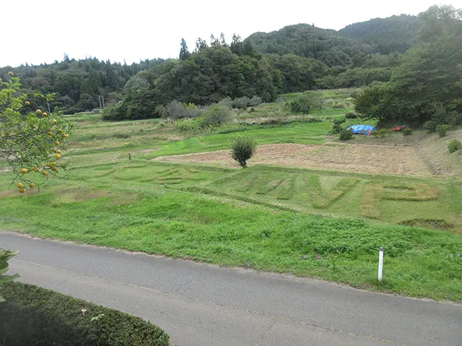 期待を込めて