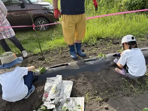 じゃがいも・さつまいも苗植え体験
