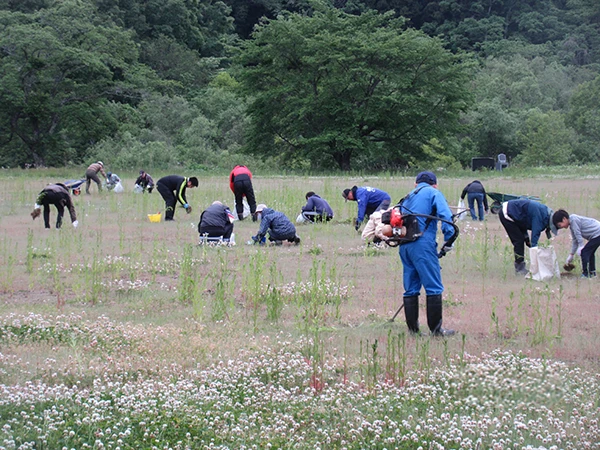 口内小学校校庭草刈り
