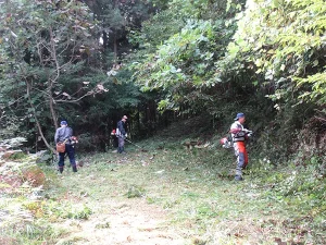 愛宕山草刈り