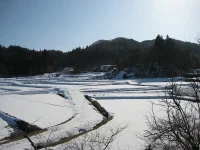 口内　1区の風景
