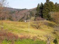 口内　1区の風景