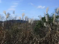 2区の風景