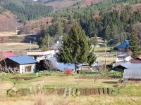 口内　1区の風景