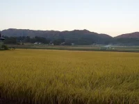2区の風景