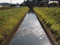 口内　1区の風景
