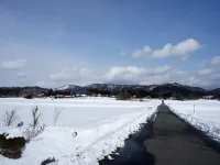 2区の風景