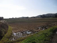 口内町　4区の風景