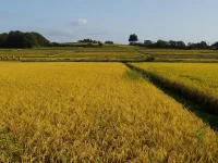 口内町　4区の風景