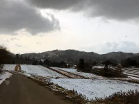 口内　5区の風景