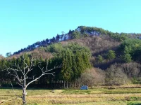口内　6区の風景