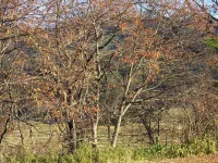口内　6区の風景