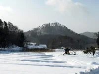 口内　6区の風景