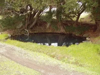 口内　7区の風景