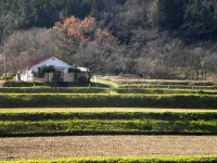 口内　8区の風景