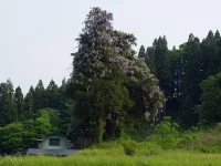 口内　8区の風景